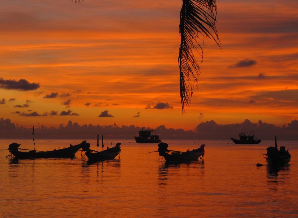 Cosy Holiday Homes Lamai Koh Samui. Dış mekan fotoğraf